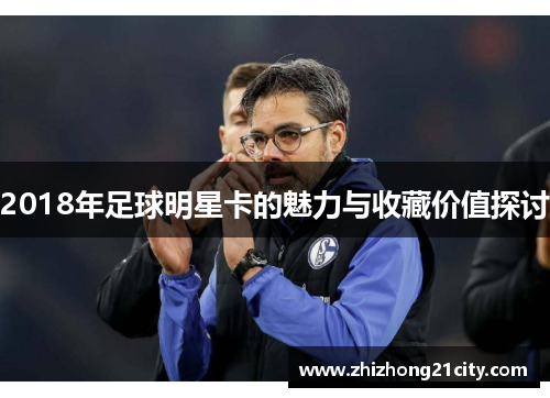 2018年足球明星卡的魅力与收藏价值探讨